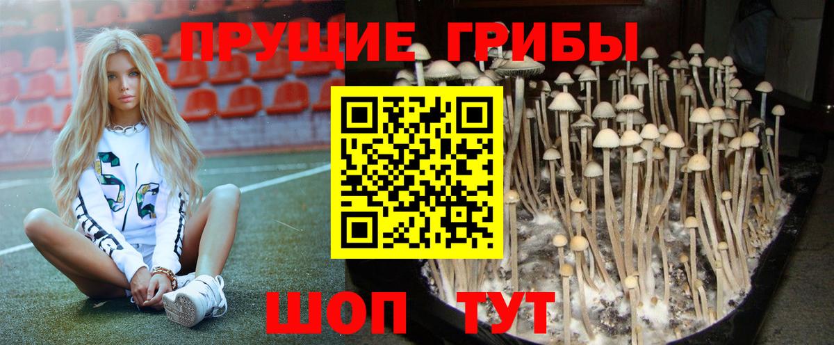 Псилоцибиновые грибы мухоморы Санкт-Петербург
