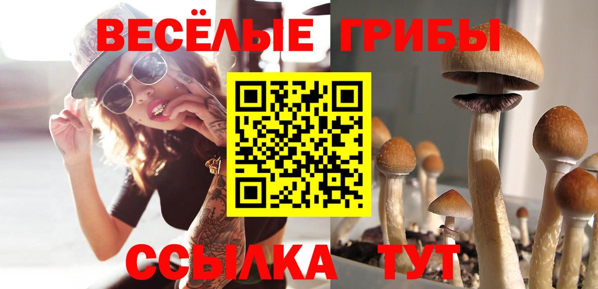 Галлюциногенные грибы ЛСД  Вход с VPN  Санкт-Петербург 